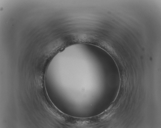 X0000062850450200601201707