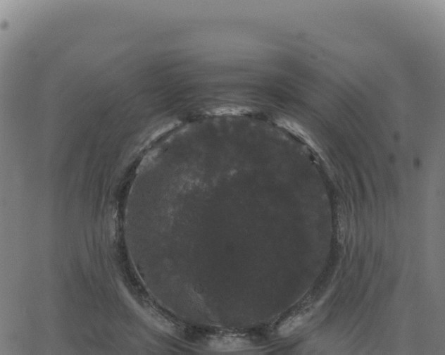 X0000062850451200601201707