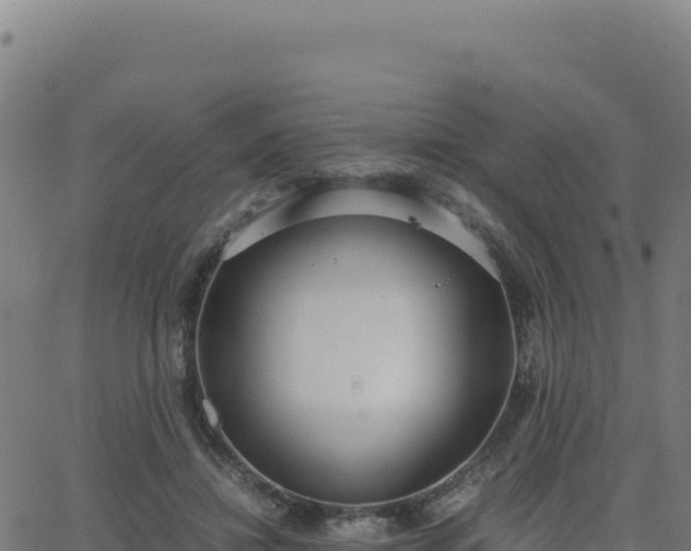 X0000062850452200601201707