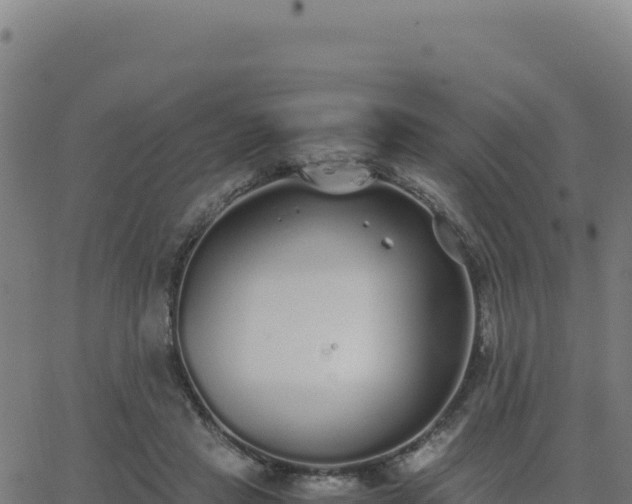 X0000062850453200601201707