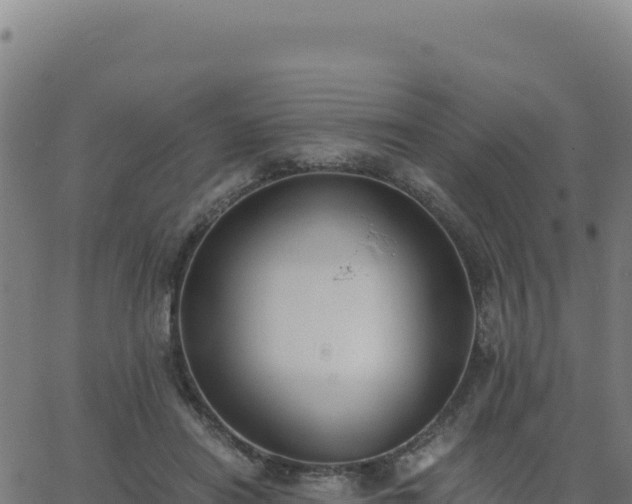 X0000062850454200601201707