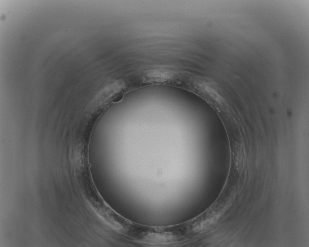 X0000062850455200601201707