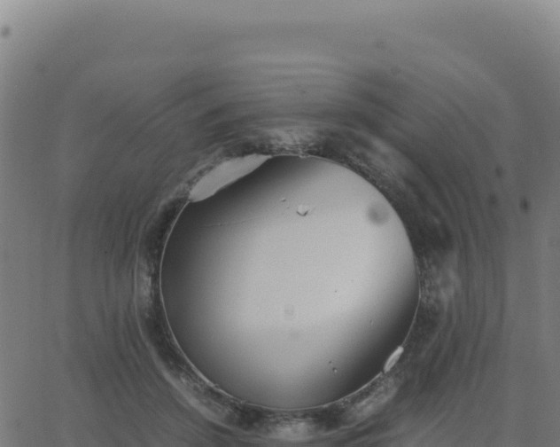 X0000062850456200601201707