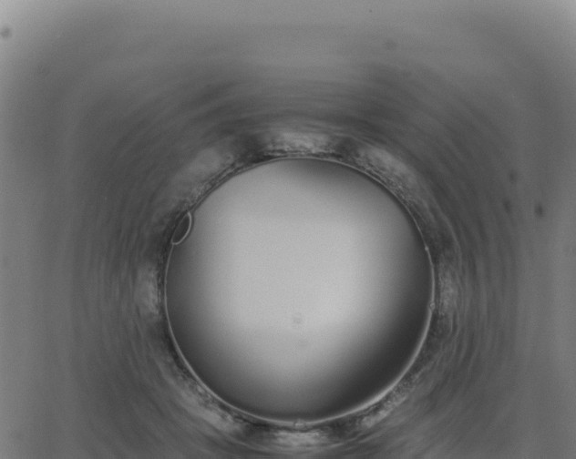 X0000062850457200601201707