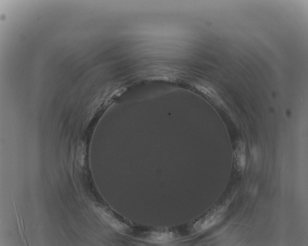 X0000062850458200601201707