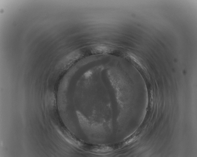 X0000062850459200601201708