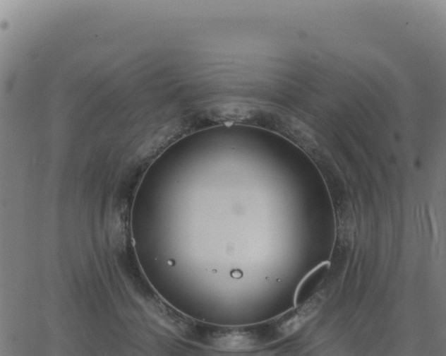 X0000062850460200601201708