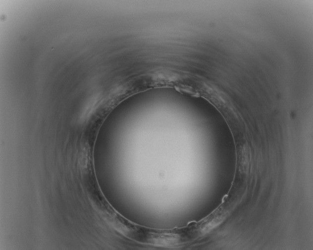 X0000062850463200601201708