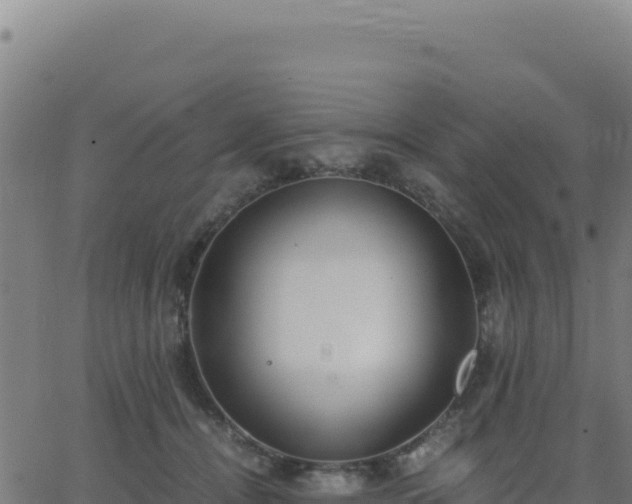 X0000062850464200601201708