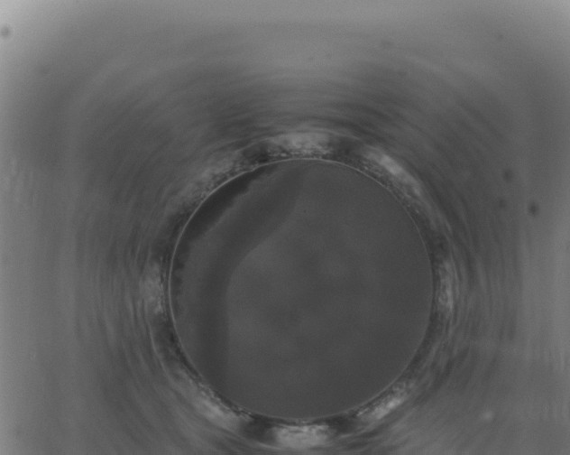 X0000062850465200601201708