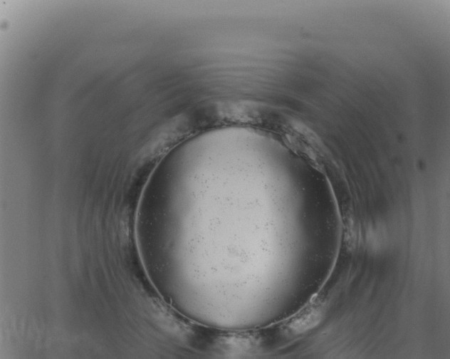 X0000062850466200601201708