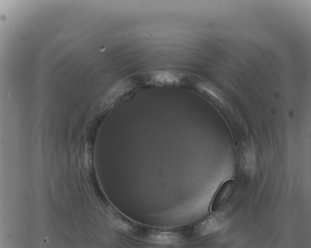 X0000062850467200601201708