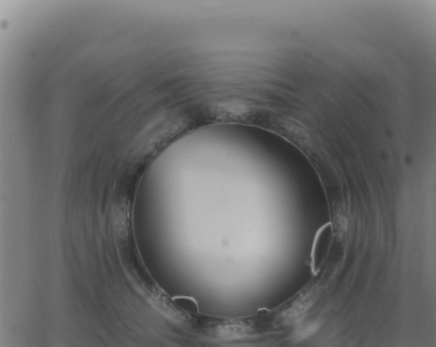 X0000062850468200601201708