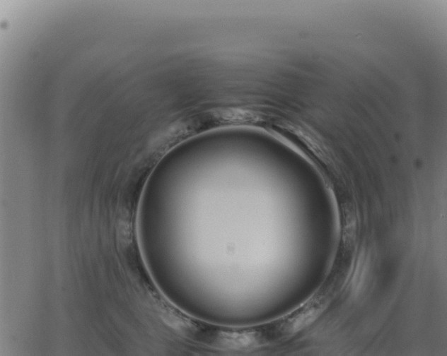 X0000062850469200601201708