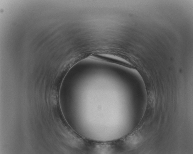 X0000062850470200601201708