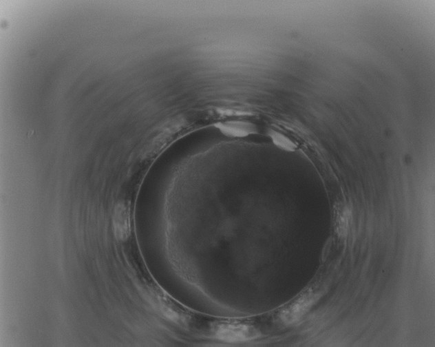 X0000062850471200601201708