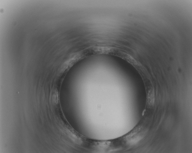 X0000062850474200601201708