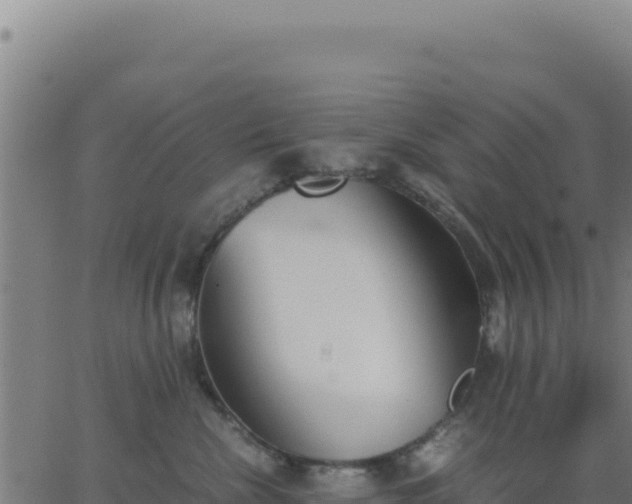 X0000062850476200601201708