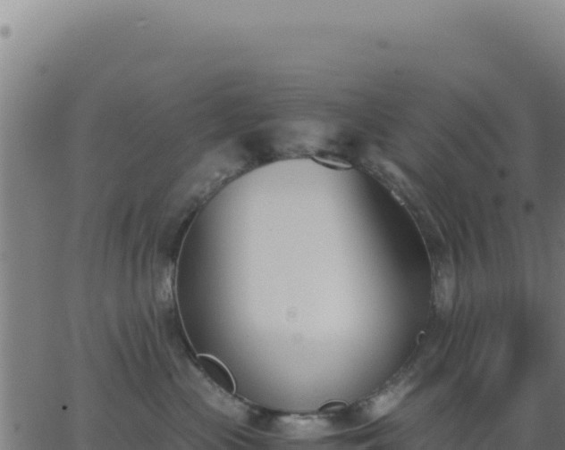 X0000062850477200601201708