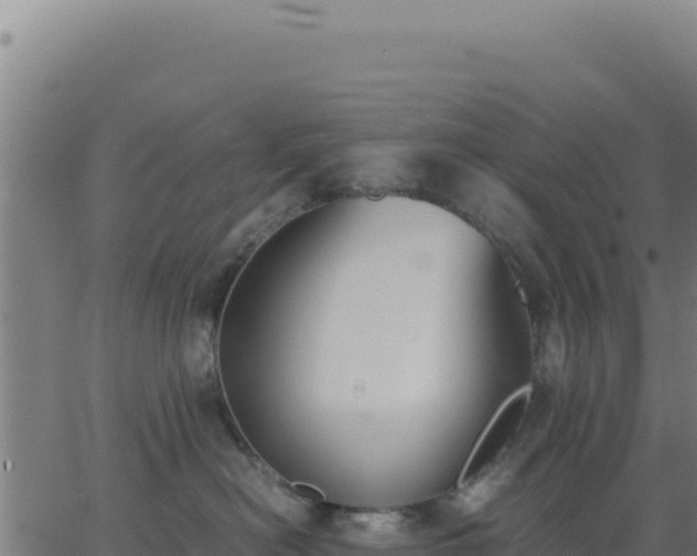 X0000062850478200601201708