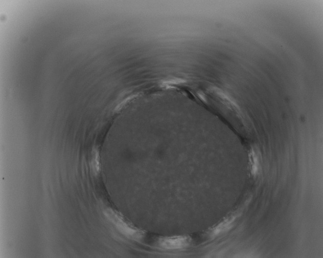 X0000062850479200601201708