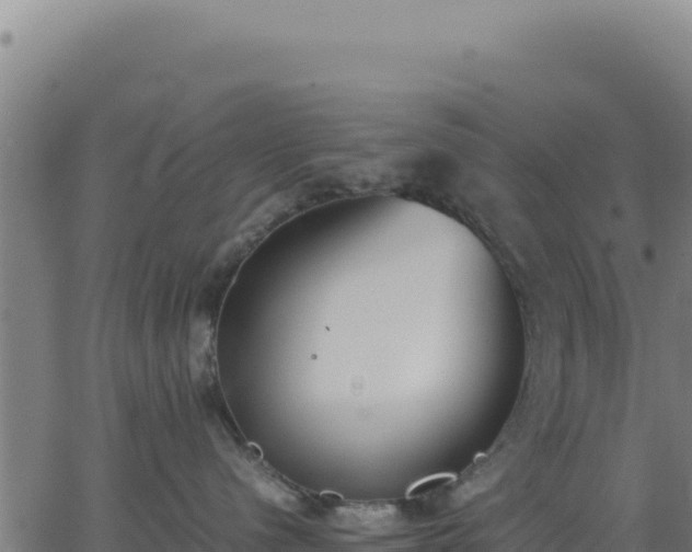 X0000062850480200601201708