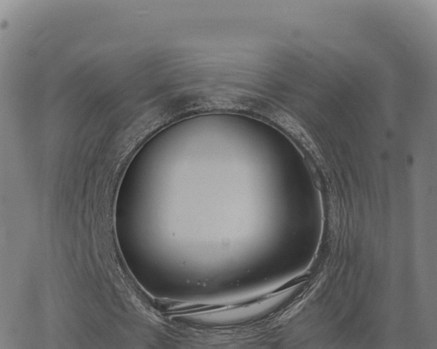 X0000062850481200601201707