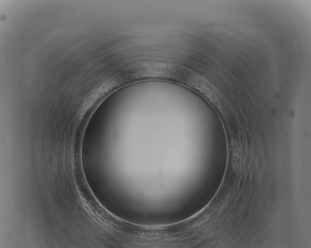 X0000062850482200601201707