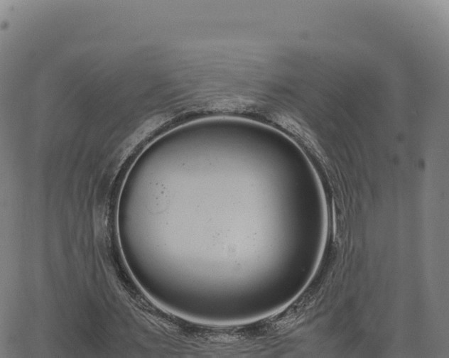 X0000062850483200601201707