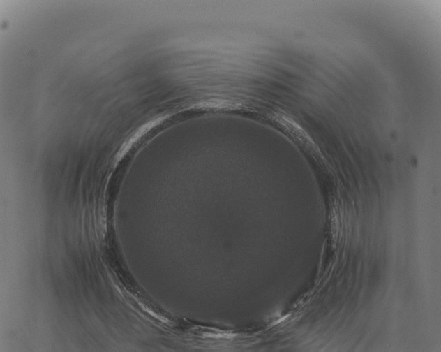 X0000062850484200601201707