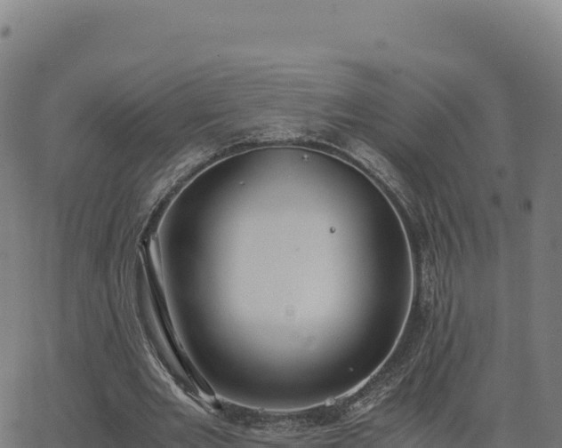 X0000062850485200601201707