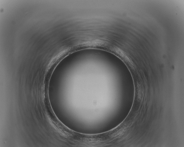 X0000062850486200601201707