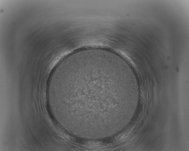 X0000062850487200601201707