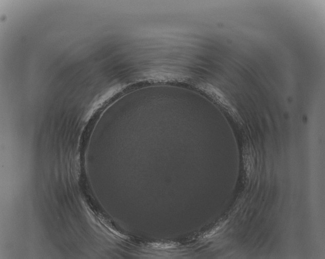 X0000062850488200601201707