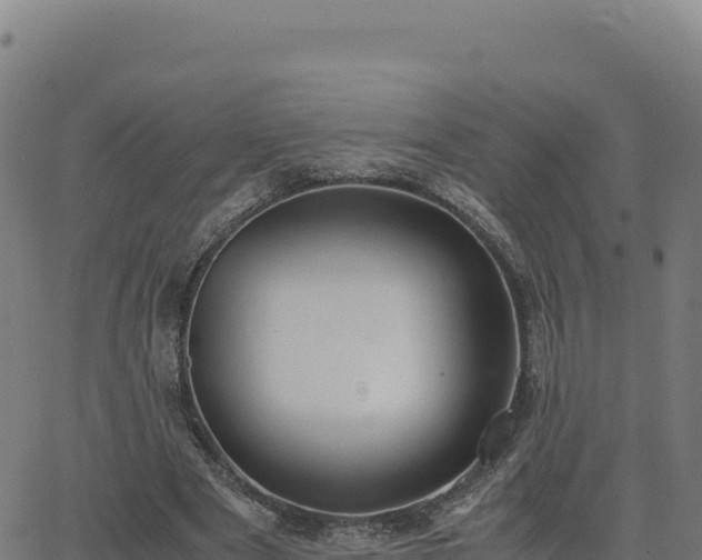 X0000062850489200601201707