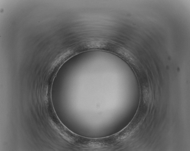 X0000062850490200601201707