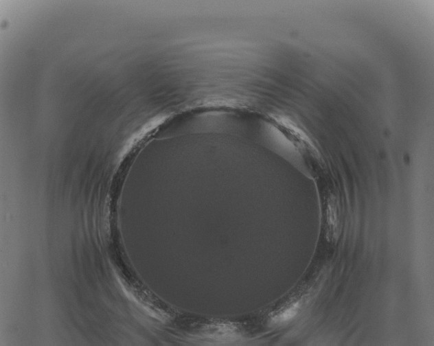 X0000062850492200601201707