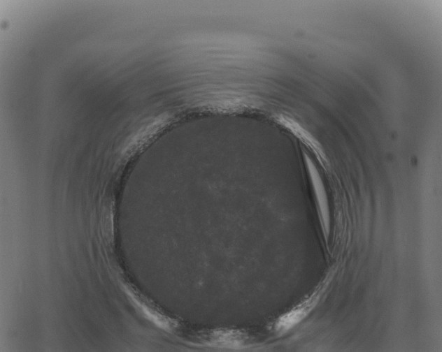 X0000062850493200601201707