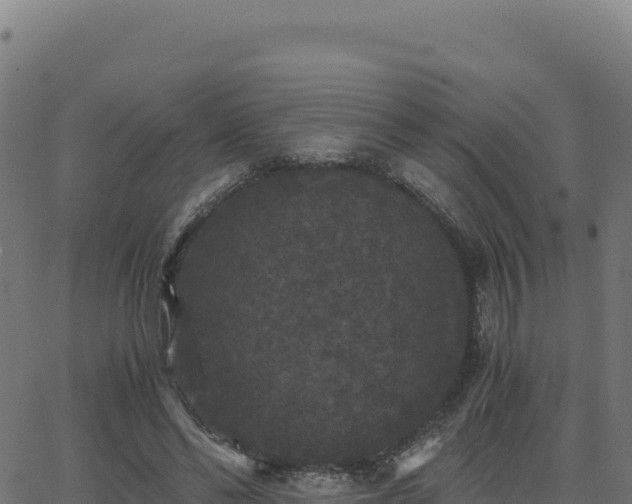 X0000062850494200601201707