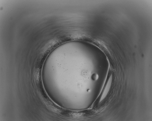 X0000062850495200601201707