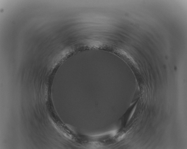 X0000062850496200601201707