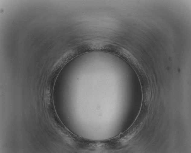 X0000062850497200601201707