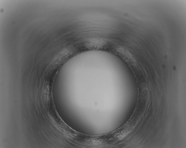 X0000062850498200601201707