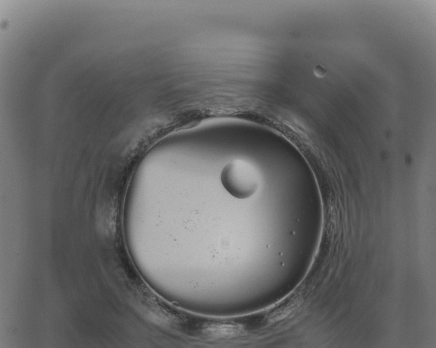 X0000062850499200601201707