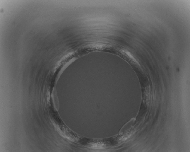 X0000062850500200601201707