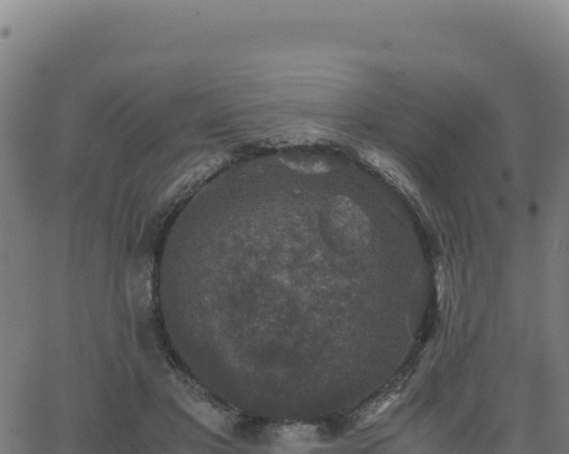 X0000062850501200601201707