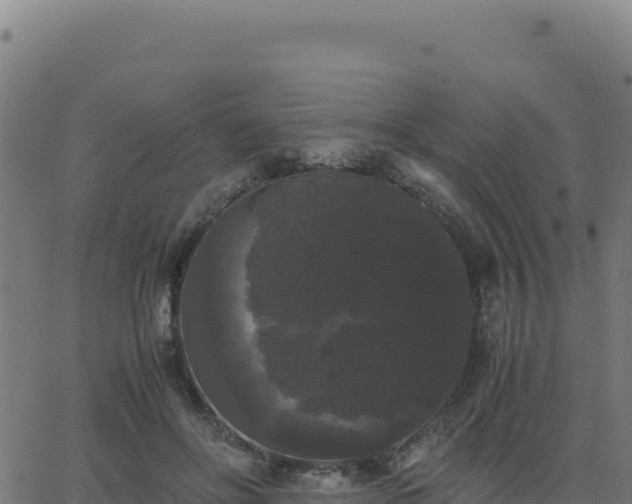 X0000062850502200601201707