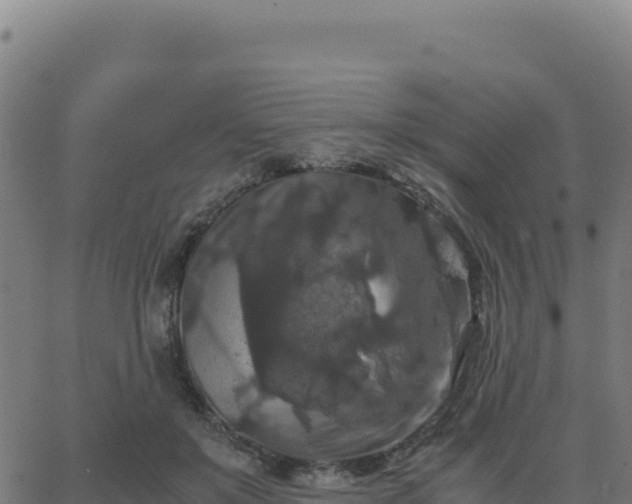 X0000062850503200601201707