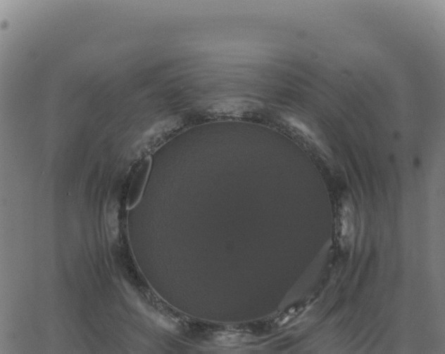 X0000062850504200601201707