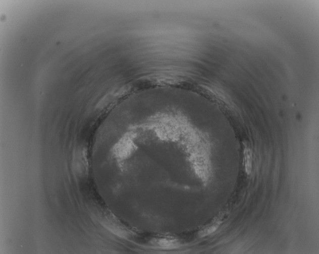 X0000062850506200601201707